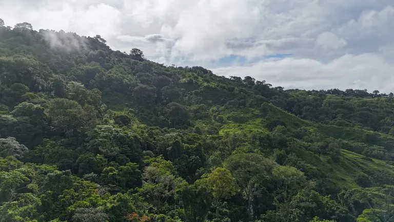 Exceptional Ocean & Mountain View Property in Pinuela Arriba, Costa Rica, photo 2