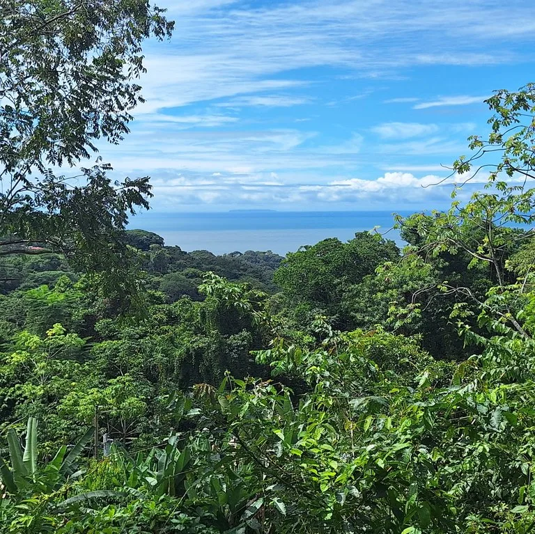 Exceptional Ocean & Mountain View Property in Pinuela Arriba, Costa Rica, photo 12