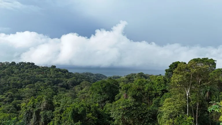 Exceptional Ocean & Mountain View Property in Pinuela Arriba, Costa Rica, photo 13