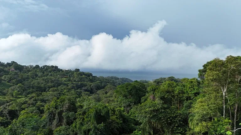 Exceptional Ocean & Mountain View Property in Pinuela Arriba, Costa Rica, photo 14