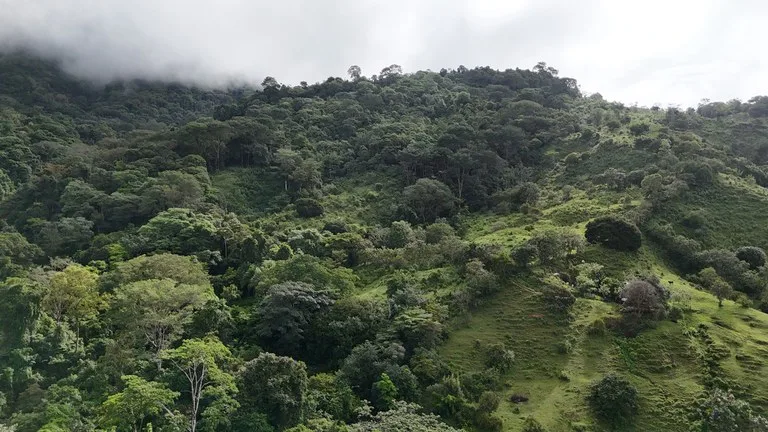 Exceptional Ocean & Mountain View Property in Pinuela Arriba, Costa Rica, photo 4