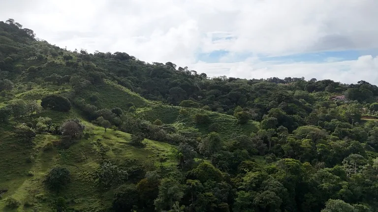 Exceptional Ocean & Mountain View Property in Pinuela Arriba, Costa Rica, photo 5