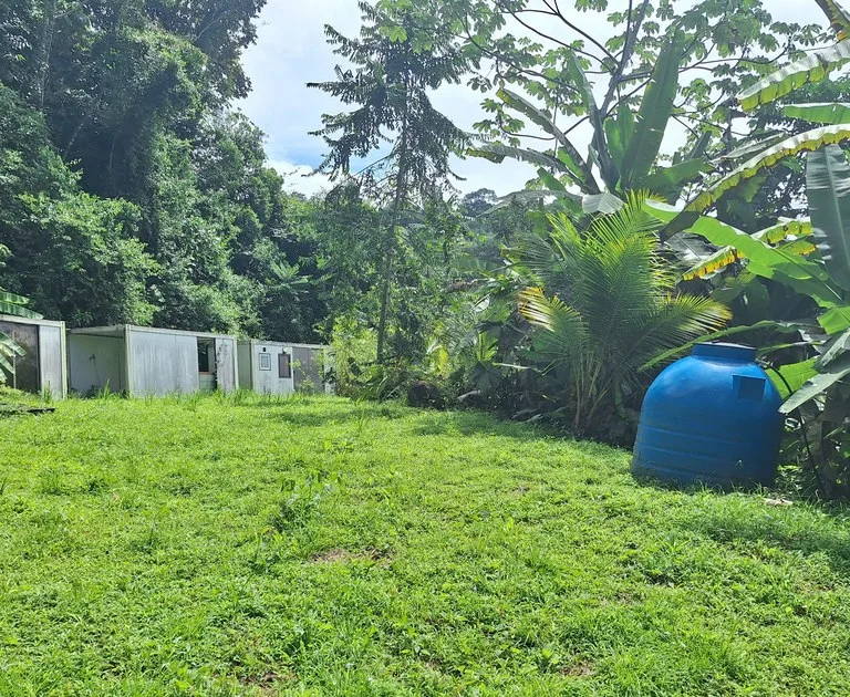 Exceptional Ocean & Mountain View Property in Pinuela Arriba, Costa Rica, photo 7