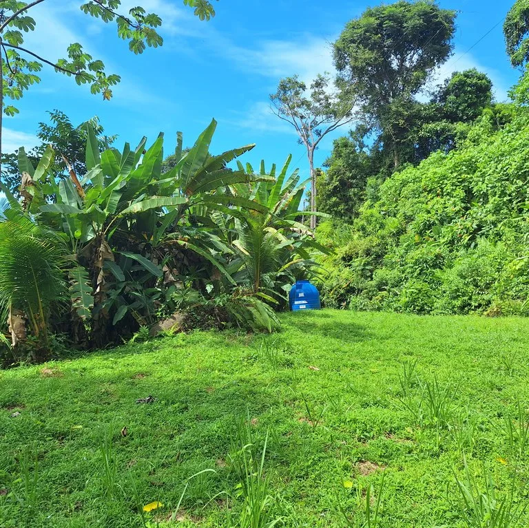 Exceptional Ocean & Mountain View Property in Pinuela Arriba, Costa Rica, photo 8