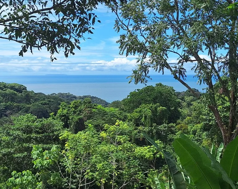 Exceptional Ocean & Mountain View Property in Pinuela Arriba, Costa Rica, photo 10
