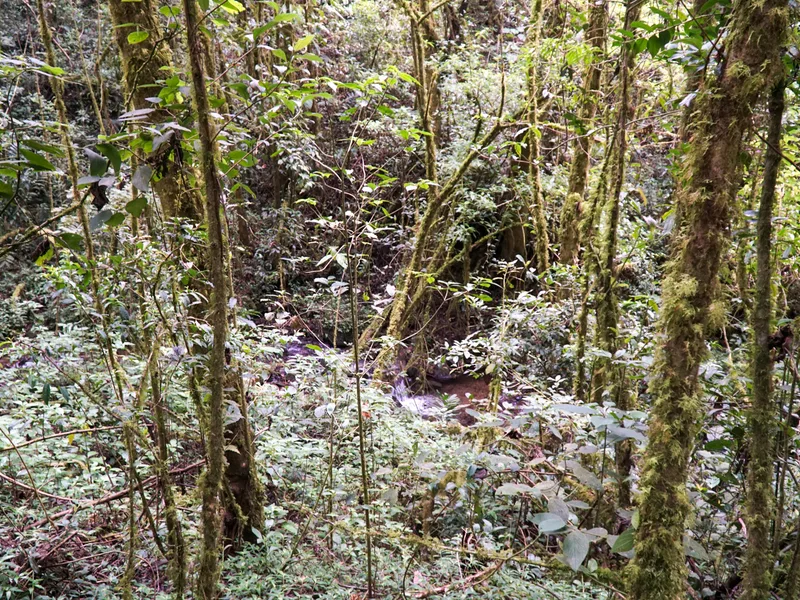 Land For Sale in Perez Zeledon, photo 11