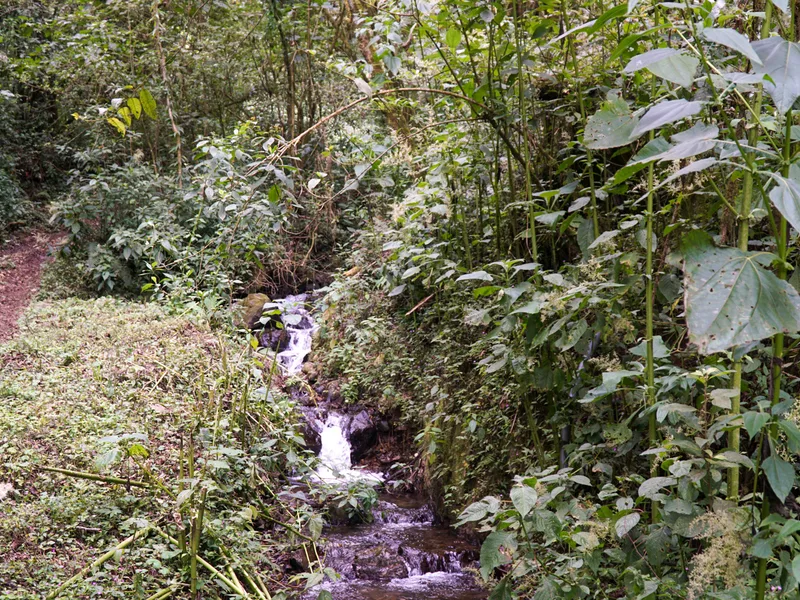 Land For Sale in Perez Zeledon, photo 12