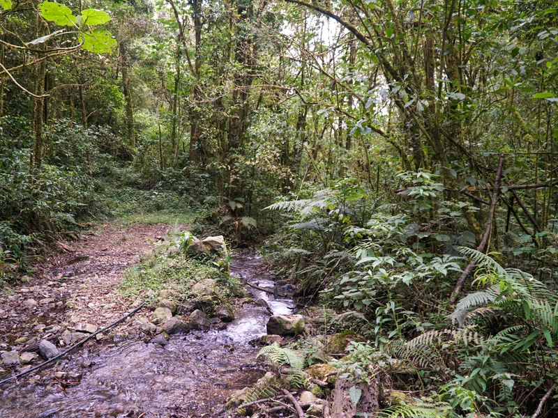 Land For Sale in Perez Zeledon, photo 13