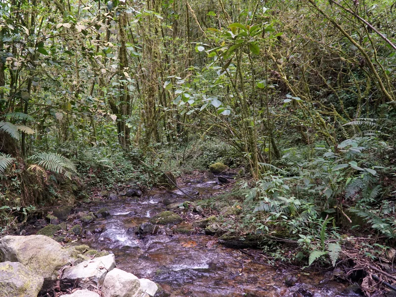 Land For Sale in Perez Zeledon, photo 15
