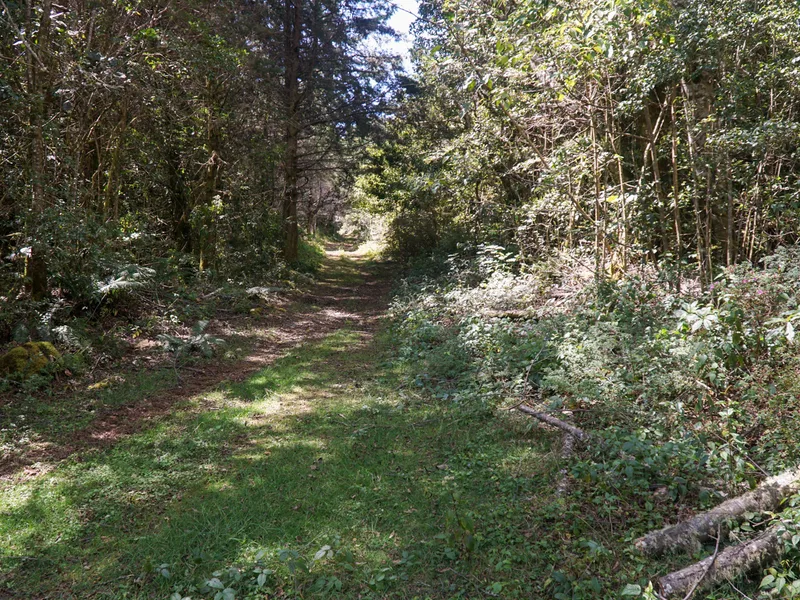Land For Sale in Perez Zeledon, photo 6
