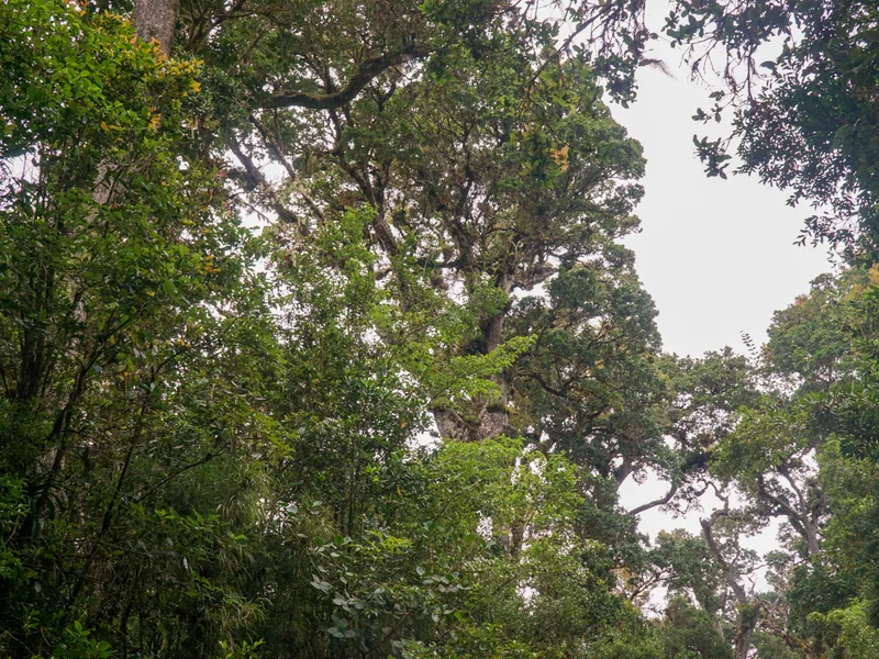 Land For Sale in Perez Zeledon, photo 7