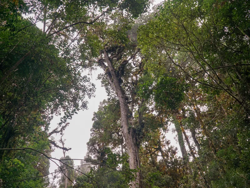 Land For Sale in Perez Zeledon, photo 9