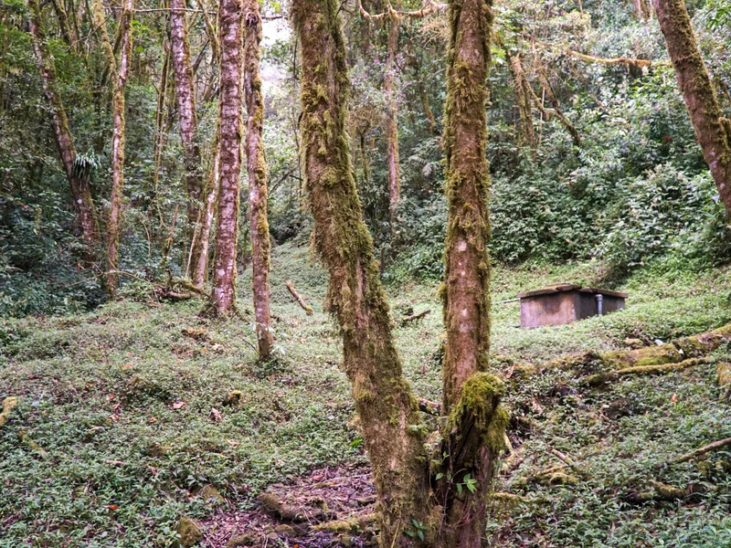 Land For Sale in Perez Zeledon, photo 10