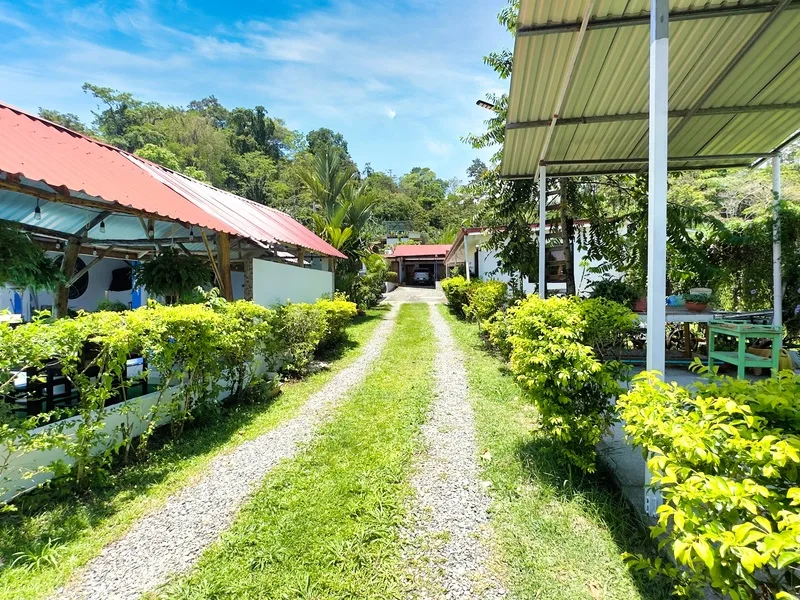 7 Bed Hotel / Leisure For Sale in Cahuita, photo 5