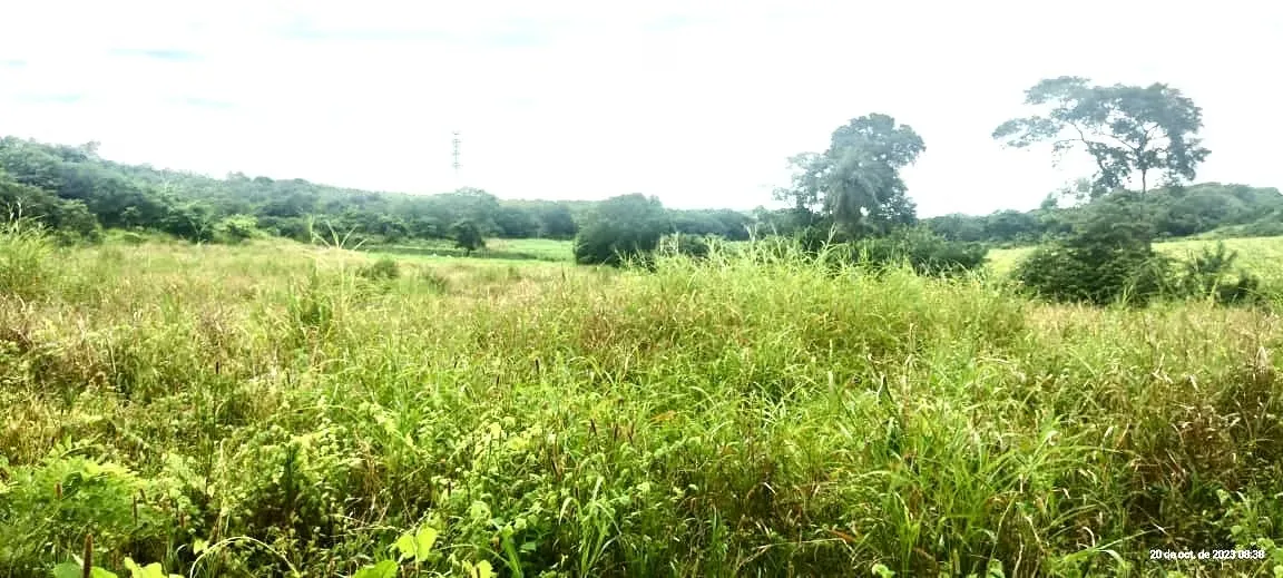 For sale farm Guanacaste 30 acres