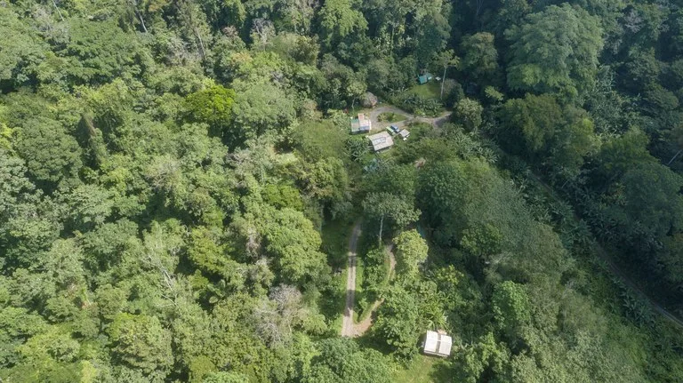 Mountain-Edge Sanctuary with Private Waterfall: 3 Titled Jungle Lots with Platforms, Waterfall, and Income Potential, photo 13