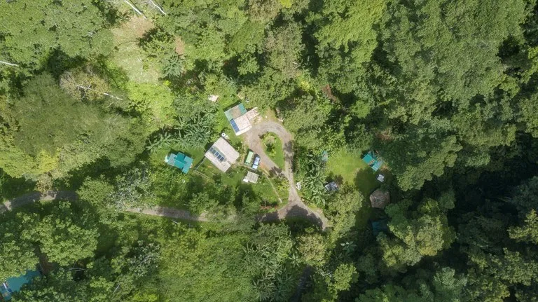 Mountain-Edge Sanctuary with Private Waterfall: 3 Titled Jungle Lots with Platforms, Waterfall, and Income Potential, photo 14