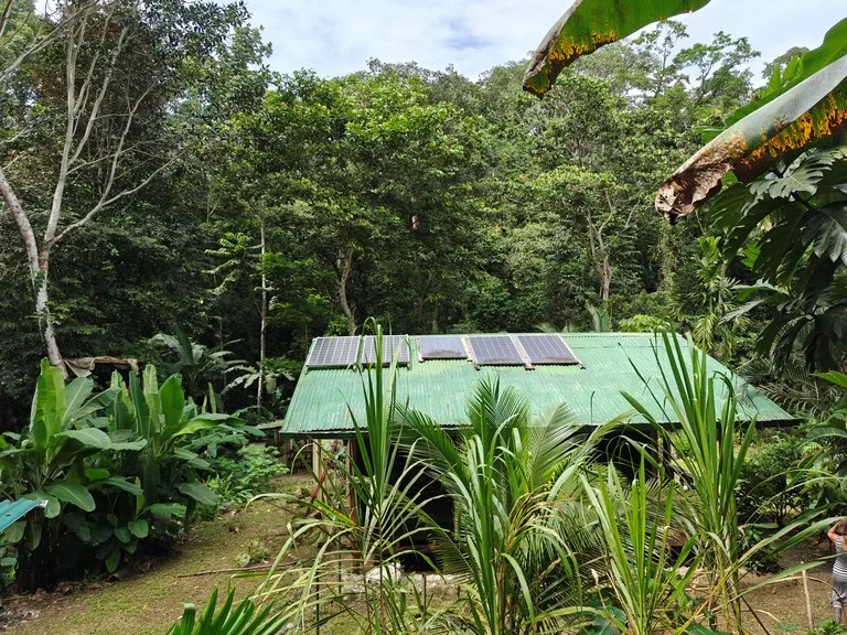 Mountain-Edge Sanctuary with Private Waterfall: 3 Titled Jungle Lots with Platforms, Waterfall, and Income Potential, photo 3