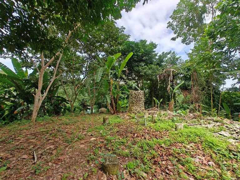 Mountain-Edge Sanctuary with Private Waterfall: 3 Titled Jungle Lots with Platforms, Waterfall, and Income Potential, photo 5