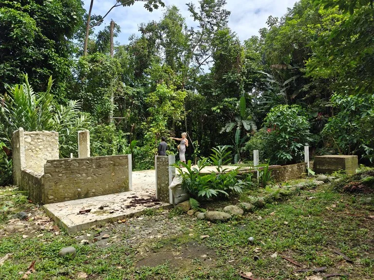 Mountain-Edge Sanctuary with Private Waterfall: 3 Titled Jungle Lots with Platforms, Waterfall, and Income Potential, photo 8