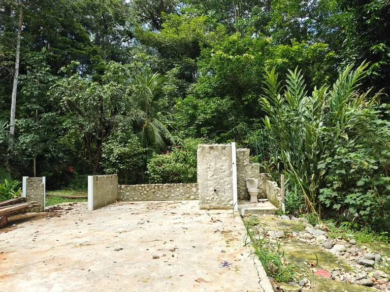 Mountain-Edge Sanctuary with Private Waterfall: 3 Titled Jungle Lots with Platforms, Waterfall, and Income Potential, photo 9
