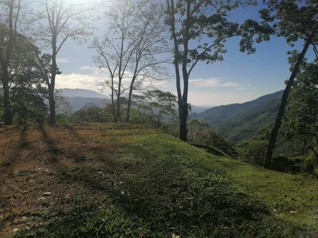 Venta de Lote en Puriscal-Mercedes Sur. RAH 26-2197 - Venta en Puriscal, photo 3
