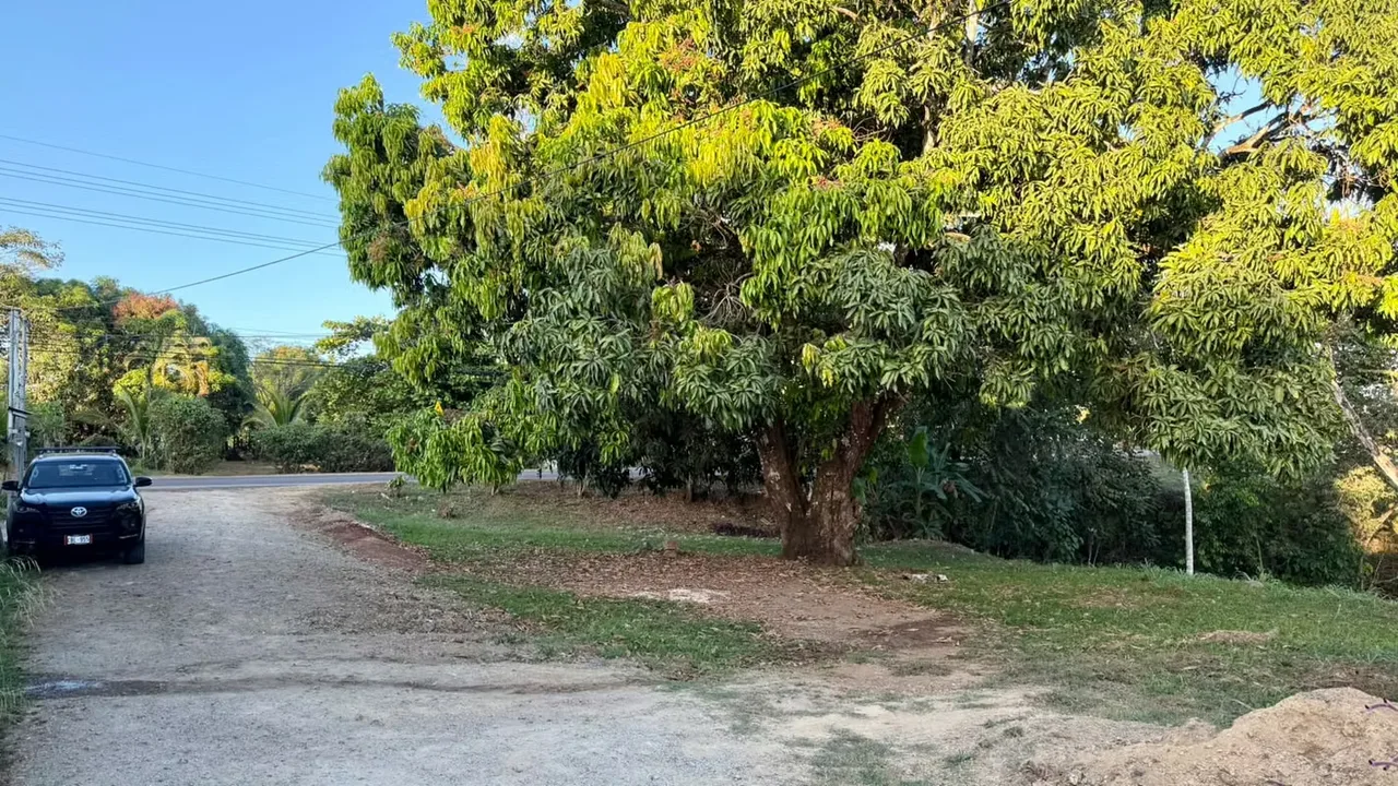 Lote comercial esquinero de 1.008 m², con una ubicación estratégica y múltiples posibilidades de desarrollo.