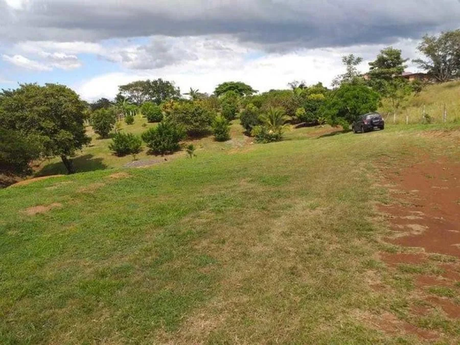 Venta de Lote en San Mateo, Alajuela. - Venta en San Mateo