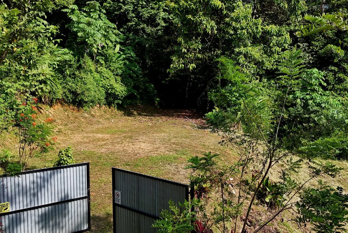 BUILDING PROPERTY WITH MOUNTAIN VIEWS, IN TRES RIOS – 0.47 ACRES, photo 2