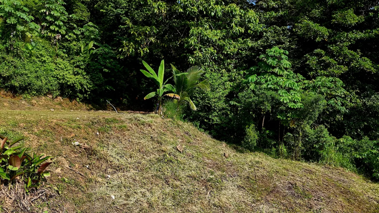 BUILDING PROPERTY WITH MOUNTAIN VIEWS, IN TRES RIOS – 0.47 ACRES, photo 11