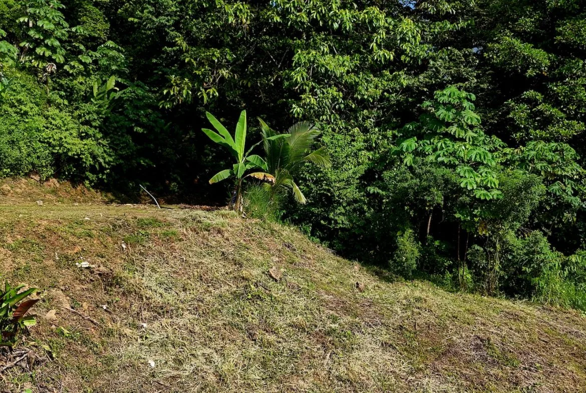 BUILDING PROPERTY WITH MOUNTAIN VIEWS, IN TRES RIOS – 0.47 ACRES, photo 12