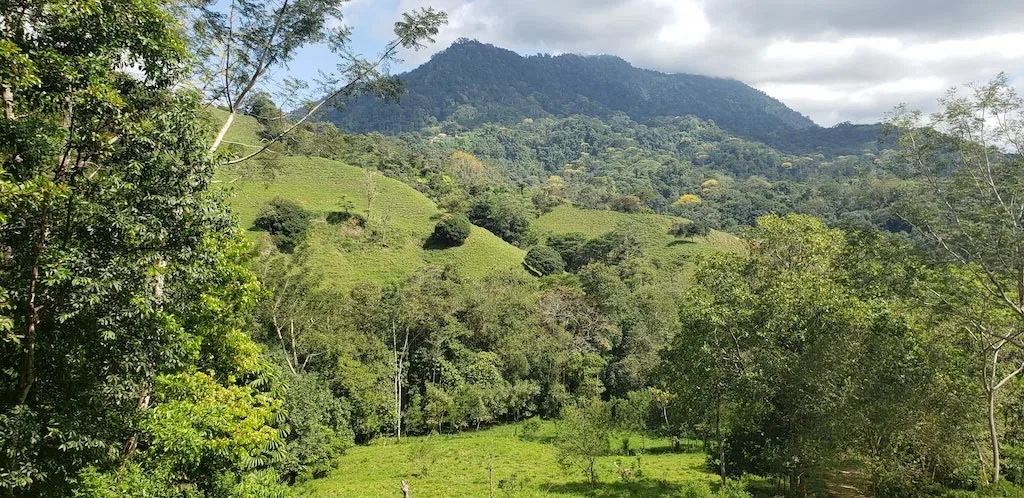 BUILDING PROPERTY WITH MOUNTAIN VIEWS, IN TRES RIOS – 0.47 ACRES, photo 13