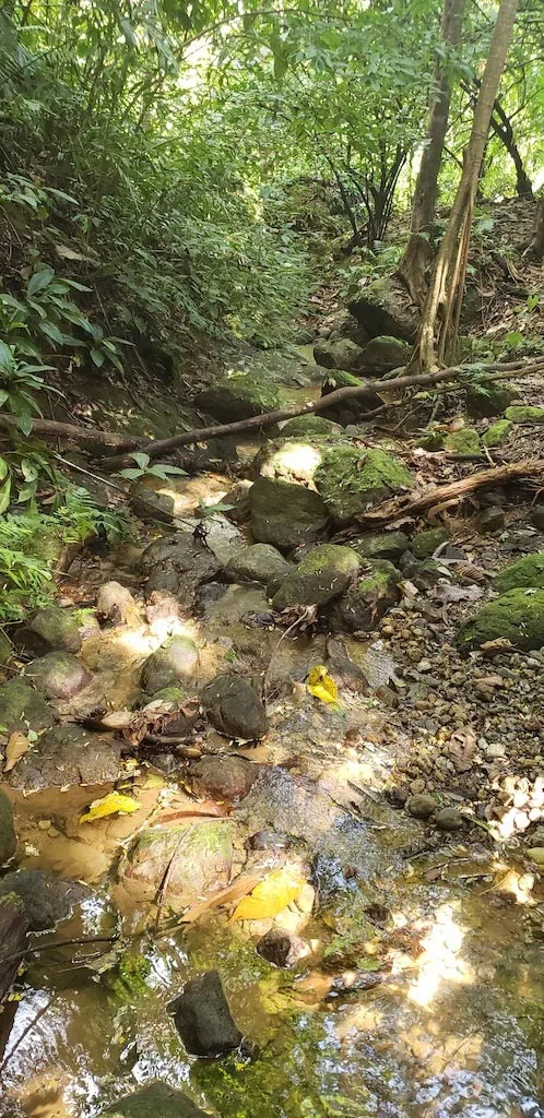 BUILDING PROPERTY WITH MOUNTAIN VIEWS, IN TRES RIOS – 0.47 ACRES, photo 14