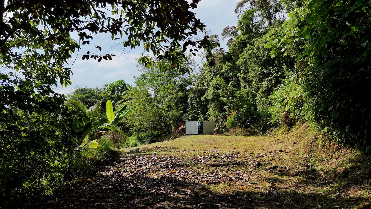 BUILDING PROPERTY WITH MOUNTAIN VIEWS, IN TRES RIOS – 0.47 ACRES, photo 3