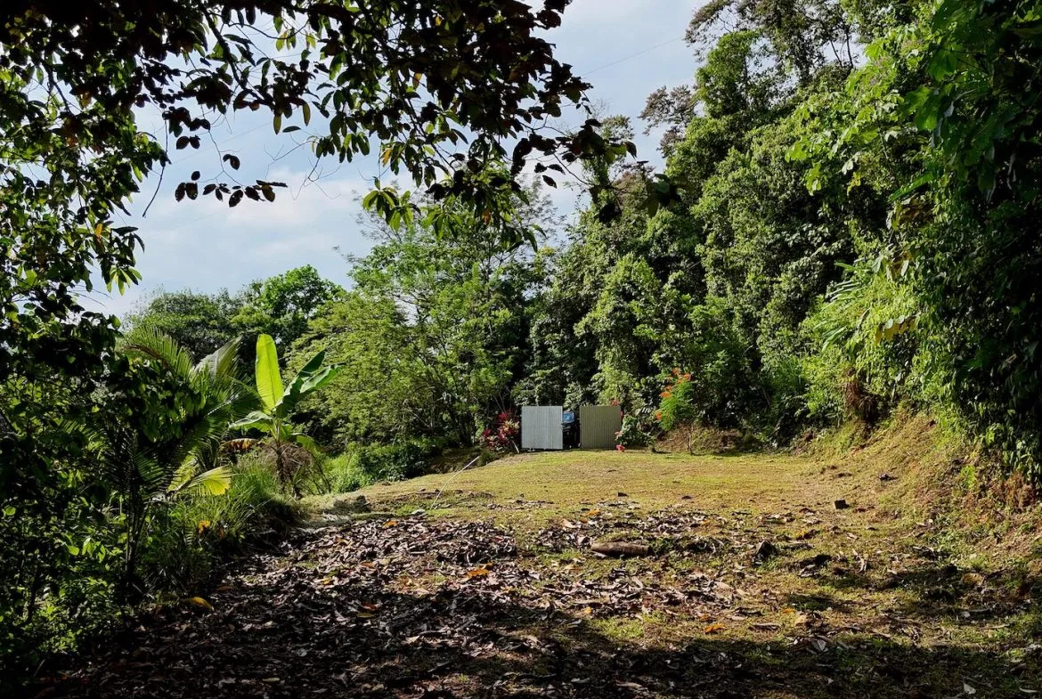 BUILDING PROPERTY WITH MOUNTAIN VIEWS, IN TRES RIOS – 0.47 ACRES, photo 4