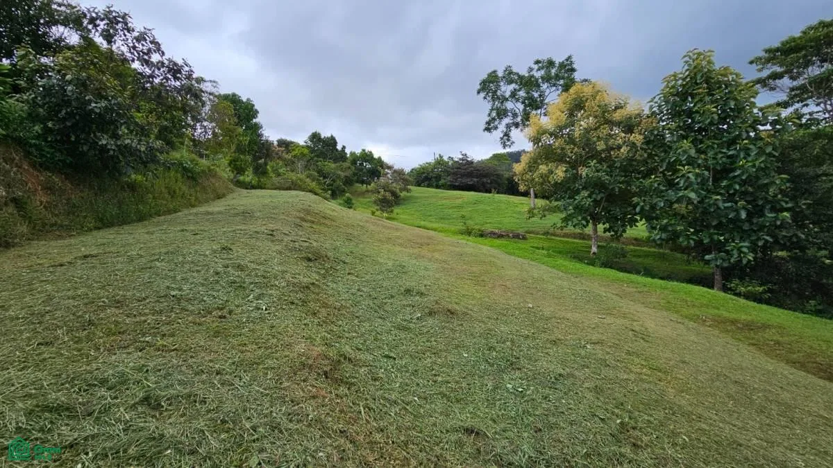 Beautiful lot in Alto Santa Marta , Miravalles, Perez Zeledon, San Jose, photo 2