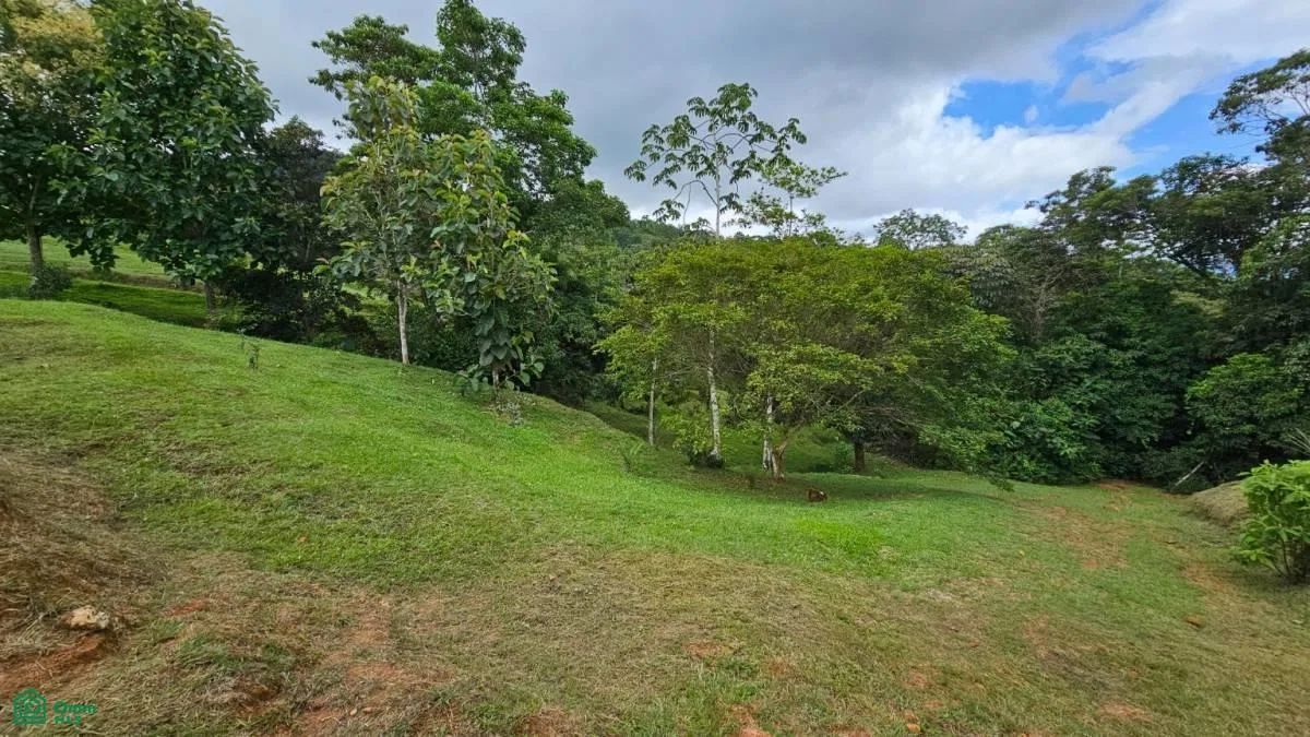 Beautiful lot in Alto Santa Marta , Miravalles, Perez Zeledon, San Jose, photo 3