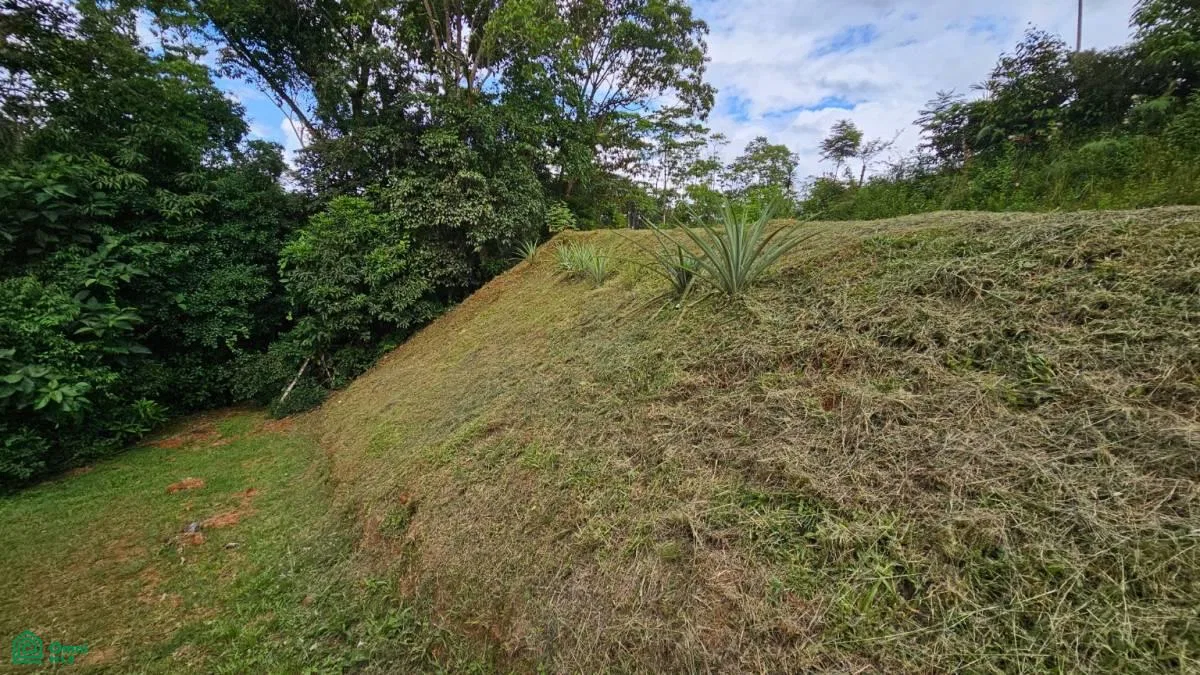 Beautiful lot in Alto Santa Marta , Miravalles, Perez Zeledon, San Jose, photo 5