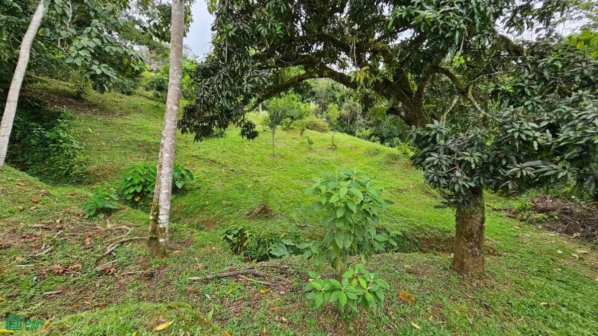 Beautiful lot in Alto Santa Marta , Miravalles, Perez Zeledon, San Jose, photo 6