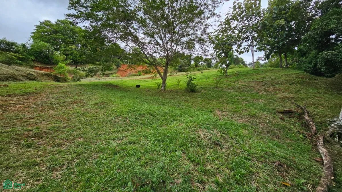 Beautiful lot in Alto Santa Marta , Miravalles, Perez Zeledon, San Jose, photo 7