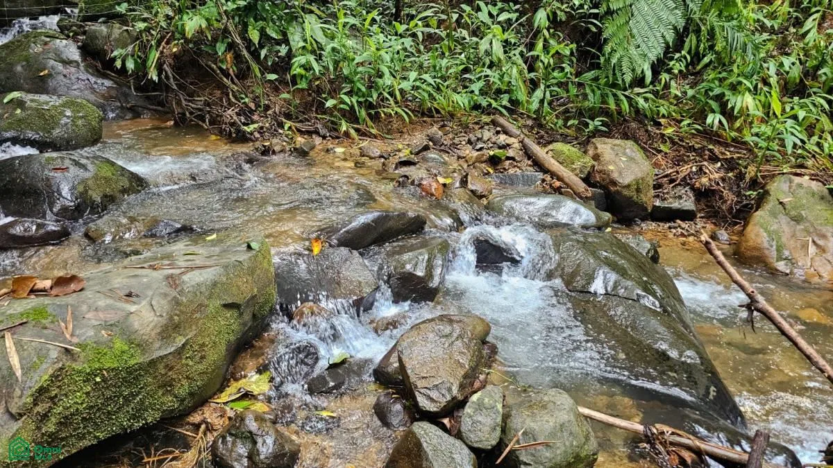 Beautiful lot in Alto Santa Marta , Miravalles, Perez Zeledon, San Jose, photo 9