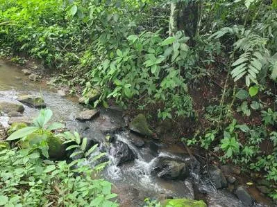 Compra tu hogar ecológico en el corazón de la naturaleza!🌿🏡