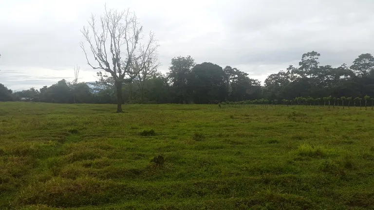 Countryside Development Parcel For Sale in Cariari, photo 11