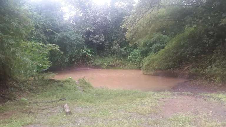 Countryside Development Parcel For Sale in Cariari, photo 6