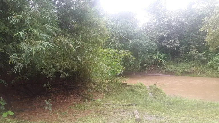 Countryside Development Parcel For Sale in Cariari, photo 7