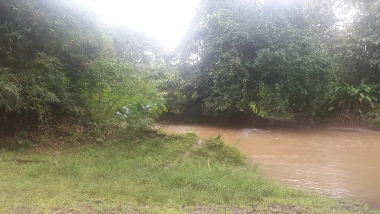 Countryside Development Parcel For Sale in Cariari, photo 8