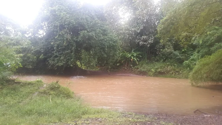 Countryside Development Parcel For Sale in Cariari, photo 9