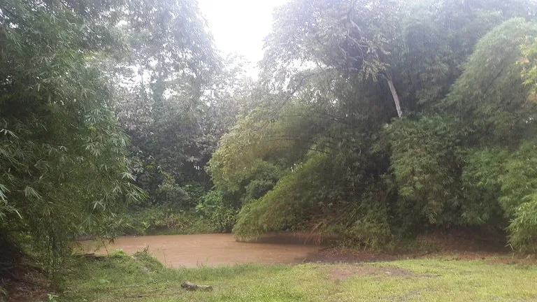 Countryside Development Parcel For Sale in Cariari, photo 10