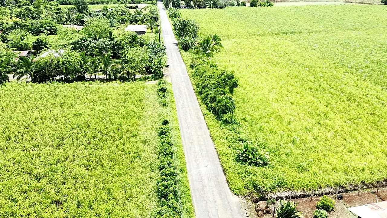 For sale farm located in the community of Los Angeles, 15 minutes to La Fortuna, peek view of Arenal Volcano, photo 2