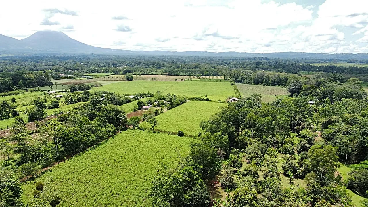For sale farm located in the community of Los Angeles, 15 minutes to La Fortuna, peek view of Arenal Volcano, photo 3